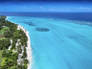 Whale Shark Expedition